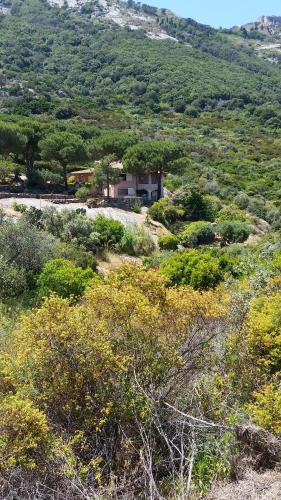 Villa Laura Aegilium — 4-Star Luxury Hotel in Arenella, Italy
