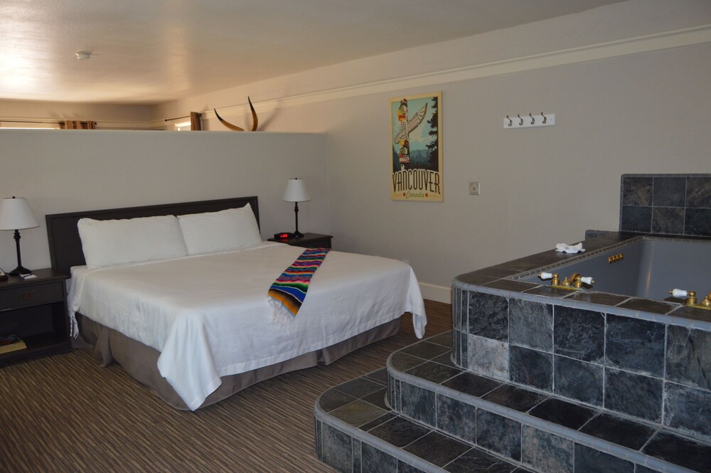 Palm Canyon Hotel & RV Resort - photo 44
