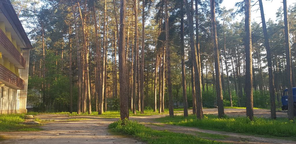 Gostinitsa Yantarnaya — Unecha — photo 4
