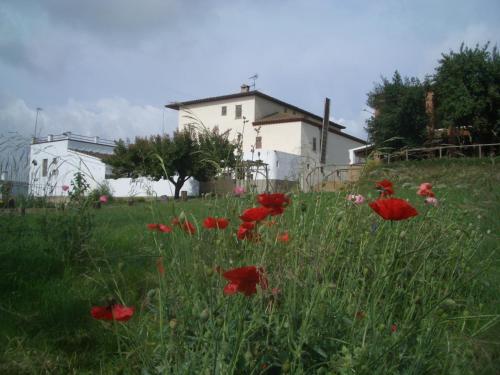 Mas Cabrit — hotel in Les Franqueses Del Valles