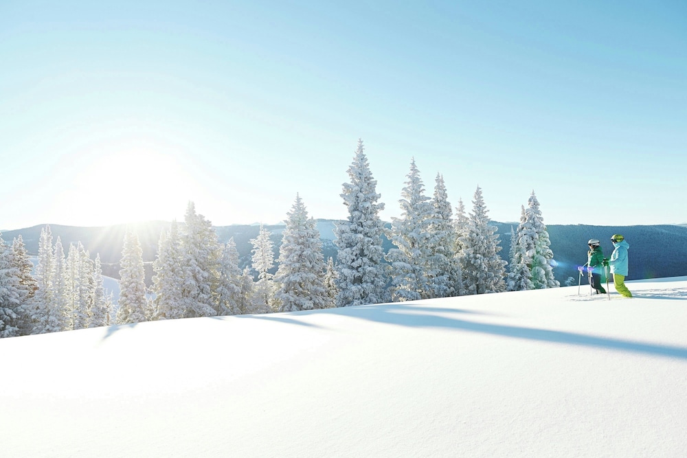 The Hythe a Luxury Collection Resort Vail - photo 128
