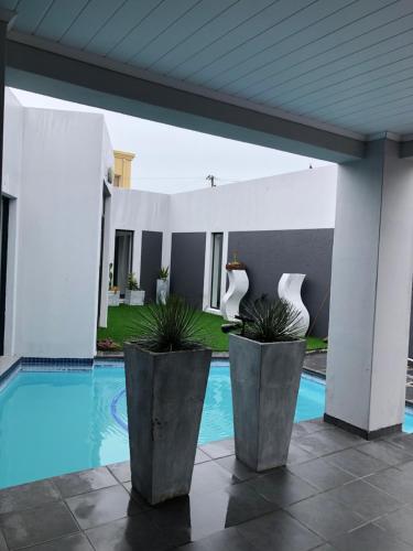 Spoelklippies in Hermanus, South Africa