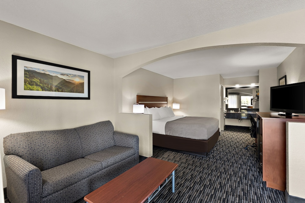 Quality Inn Dandridge - photo 9