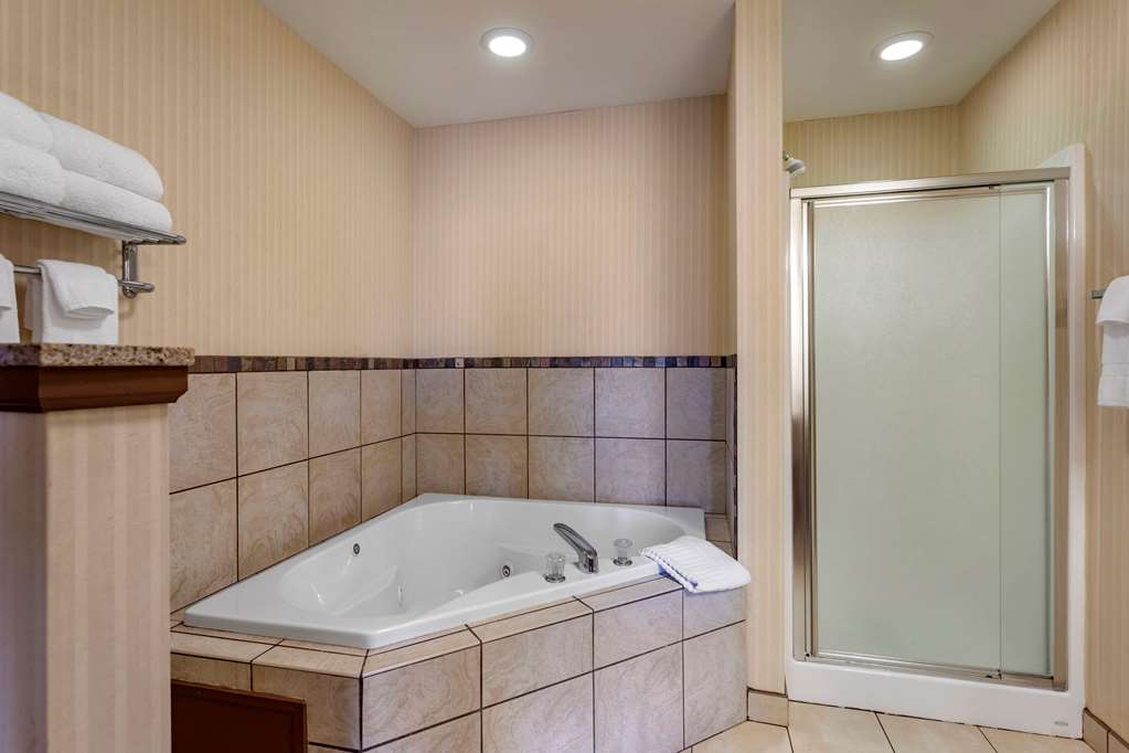 Comfort Suites Florence Shoals Area - photo 16