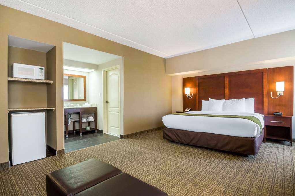 Comfort Suites at Woodbridge - photo 13