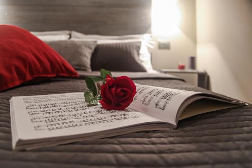 Il Pentagramma in Cremona, Italy