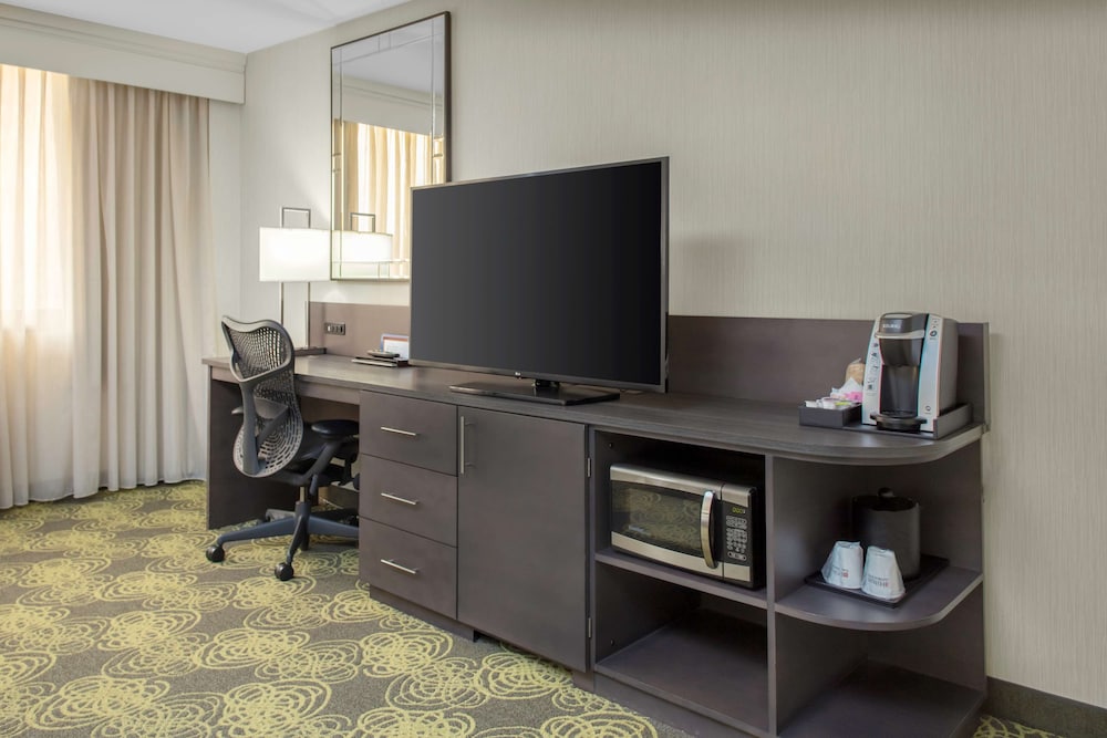 Hilton Garden Inn Reagan National Airport - photo 11