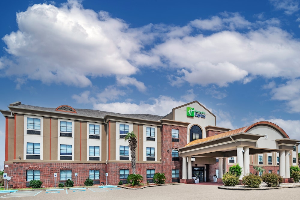 Holiday Inn Express Hotel & Suites Vidor South - photo 52