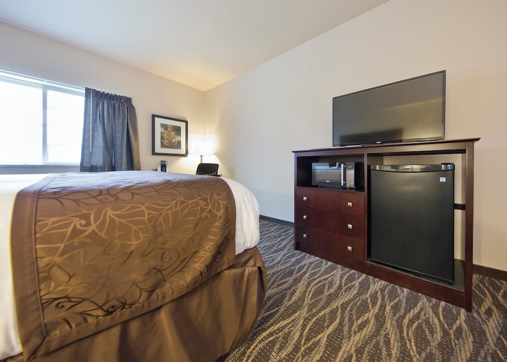 Cobblestone Inn & Suites Boone - photo 26