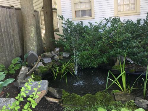 The Black Boar Inn - photo 84