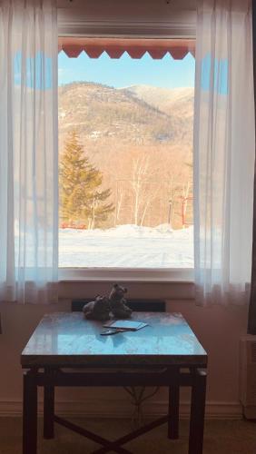 Ledge Rock at Whiteface - photo 13