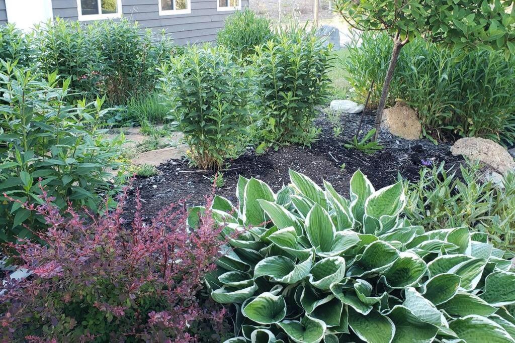 Muskoka Honey Harbour 4 Bed Retreat with Hot Tub in Huntsville, Canada