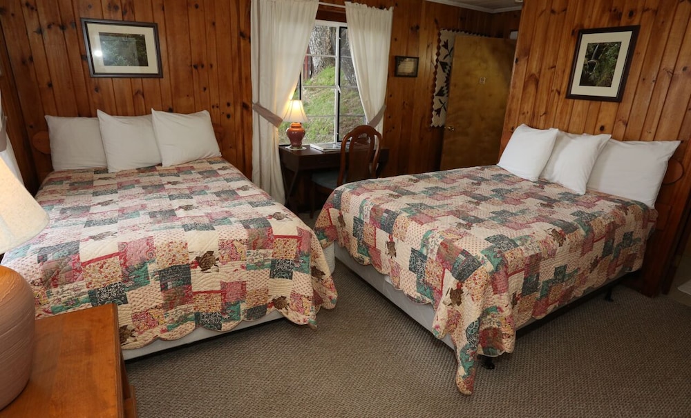 Alpine Inn - photo 10