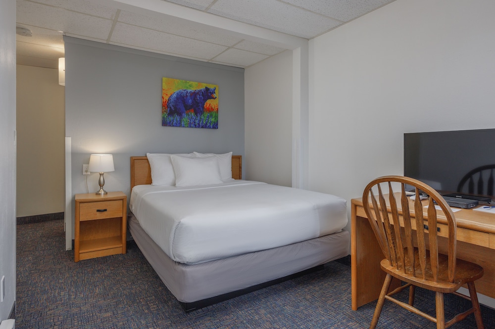 Golden North Inn - photo 6