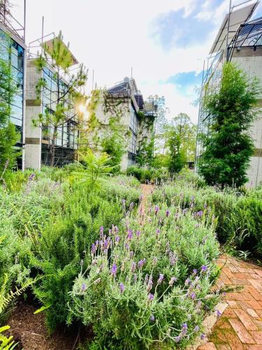 Ecoaldea Morelia in Morelia, Mexico