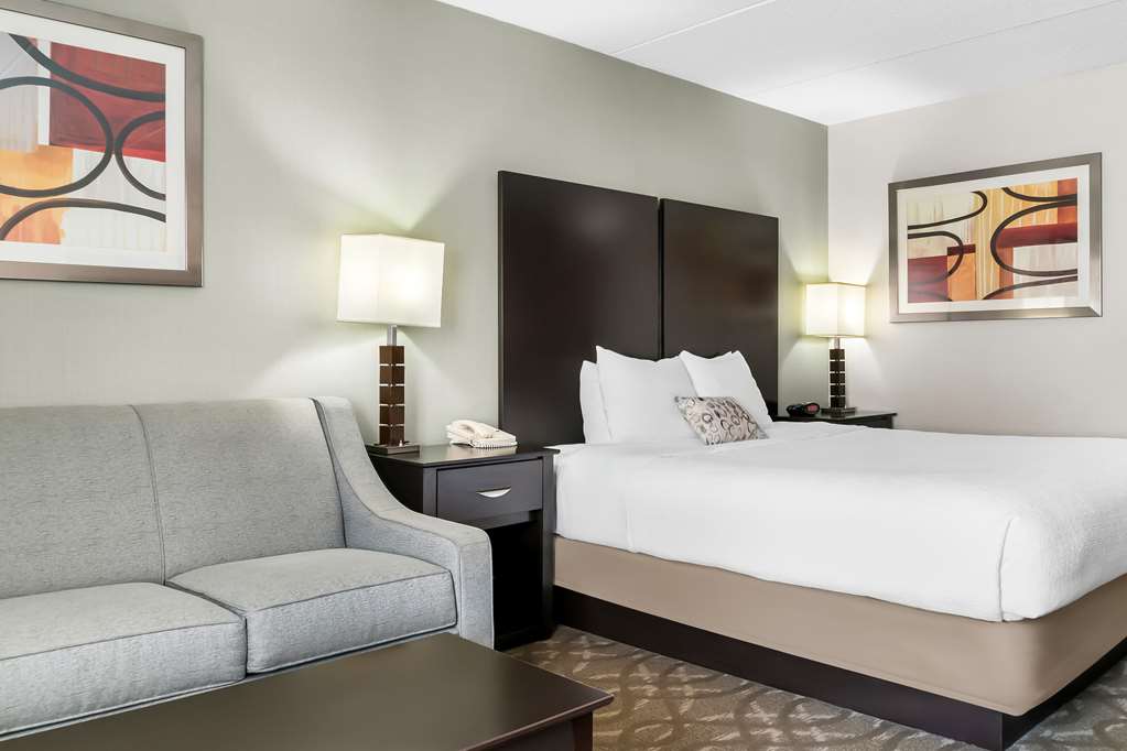 Best Western Okemos East Lansing Hotel & Suites - photo 24