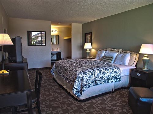 Springfield Hotel & Suites - photo 12
