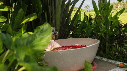 Coconut Corner Boutique Hotel in Tabanan, Indonesia