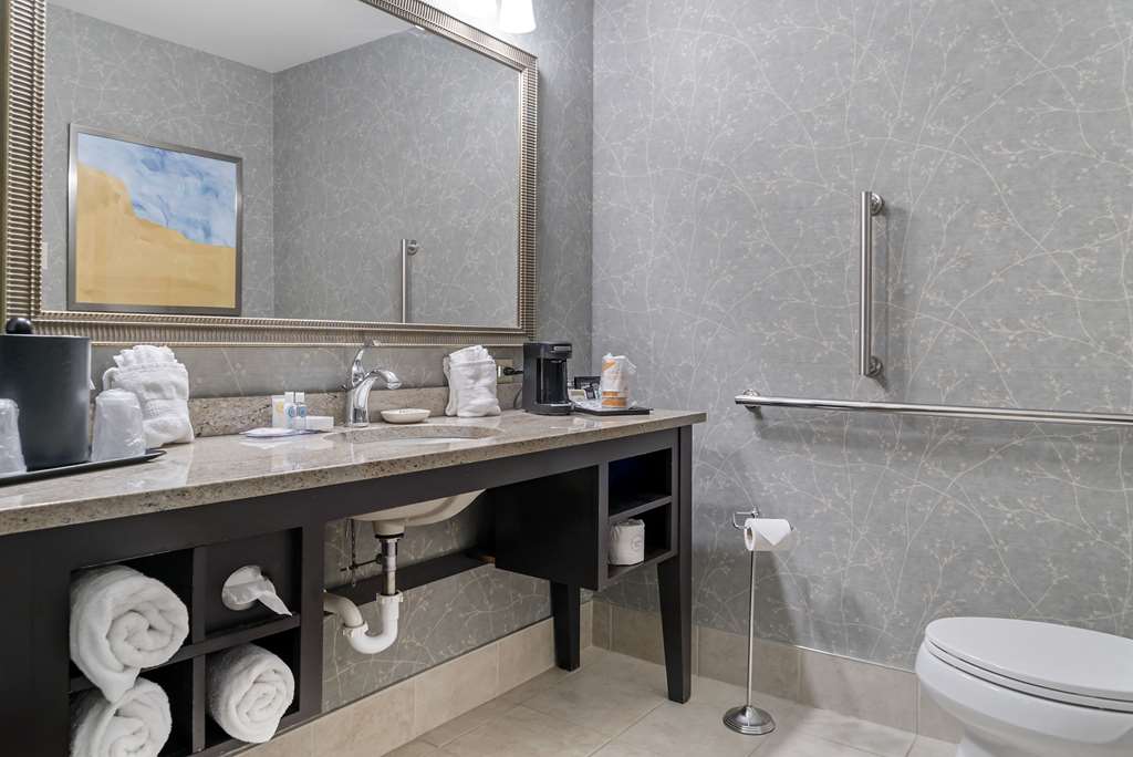 Comfort Inn Plainwell - photo 21
