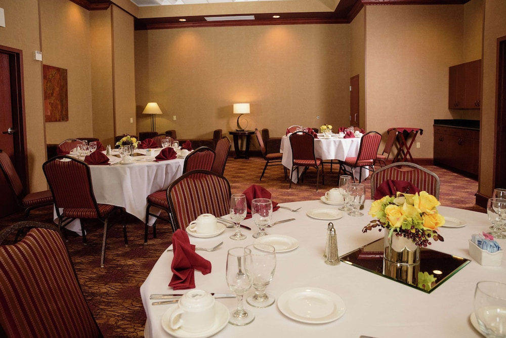 Embassy Suites by Hilton Minneapolis North - photo 47
