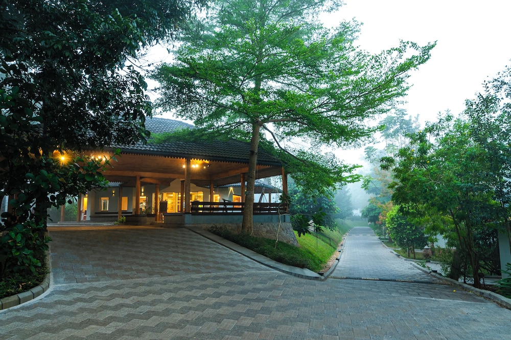 Sterling Wayanad — Bengaluru — photo 2