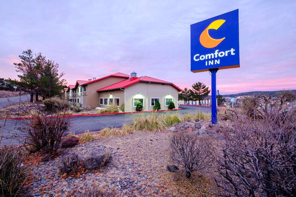 Comfort Inn Near Gila National Forest - photo 2