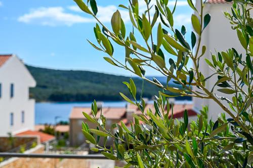Apartment Perlitto — 4-Star Luxury Hotel in Cres, Croatia