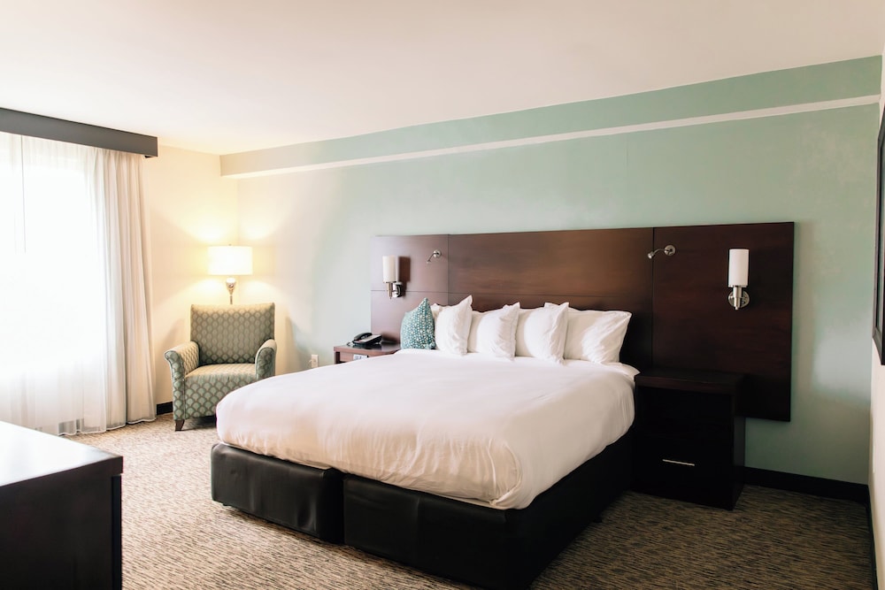 Millennium Hotel Durham - photo 100