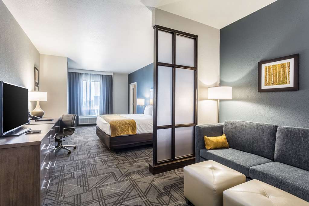 Comfort Inn & Suites Salt Lake City Airport - photo 35
