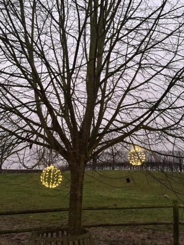 Countryhouse Zuid Limburg — Nuth — photo 4