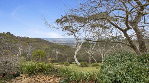 Cecils Chair Blackheath Blue Mountains in Blackheath, Australia