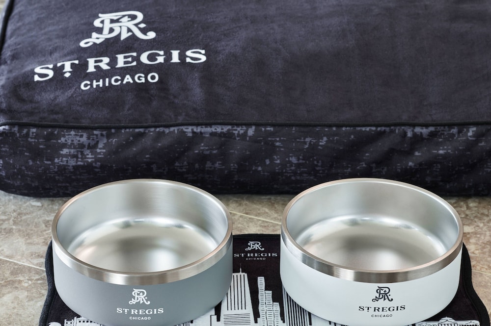 The St. Regis Chicago - photo 60