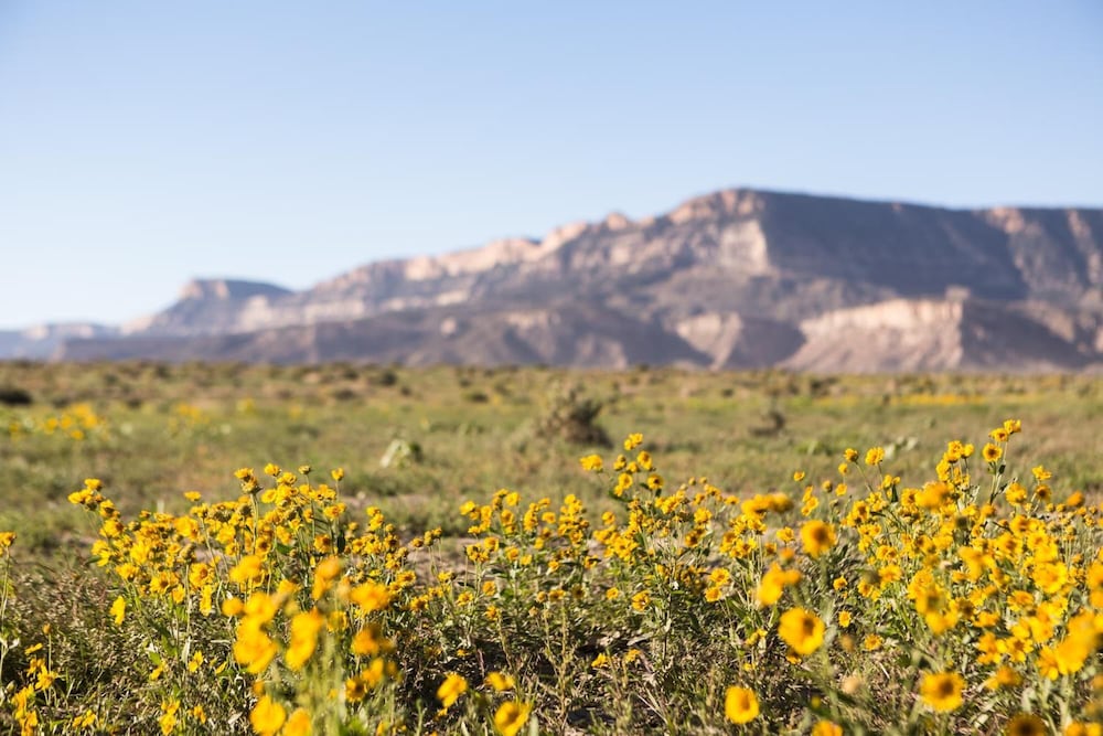 Kayenta Monument Valley Inn - photo 16