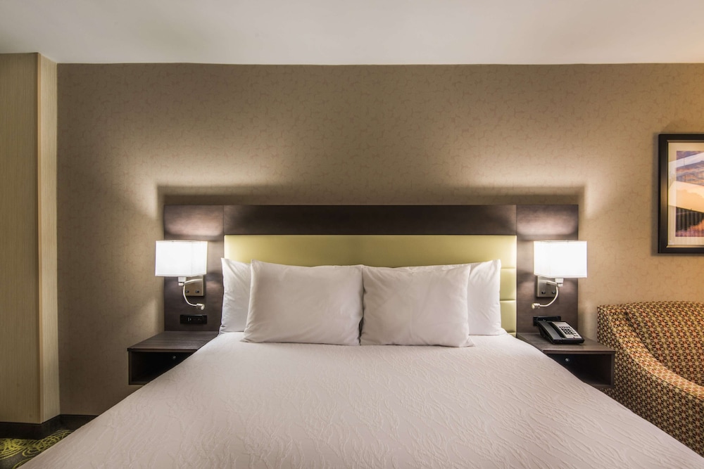 Hilton Garden Inn Reagan National Airport - photo 25