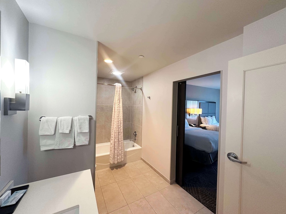 Embassy Suites by Hilton Kansas City Olathe - photo 23