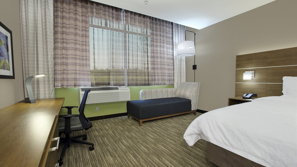Holiday Inn Express & Suites Dallas Frisco NW Toyota Stdm by IHG - photo 13