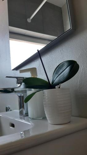 apartma Vila TARA — Prebold — photo 5
