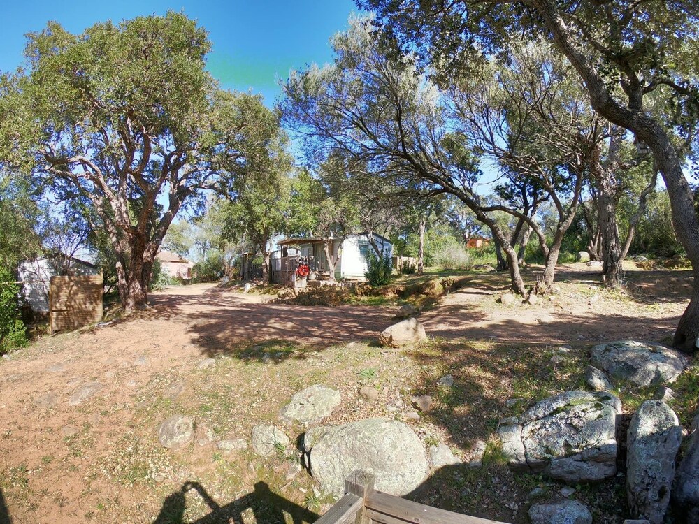 Domaine de La Testa in Zonza, France