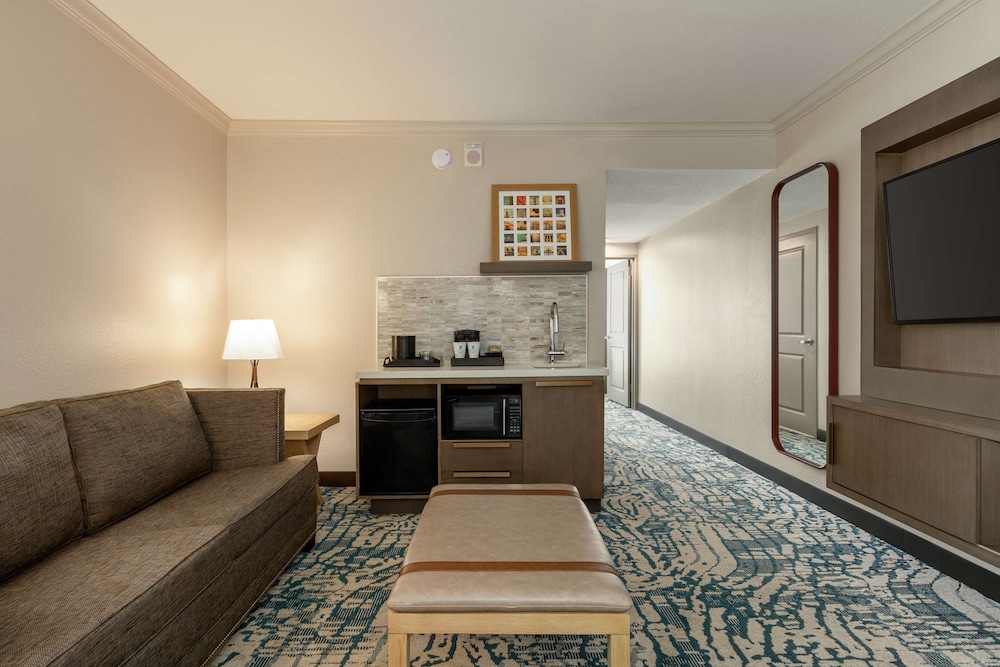 Embassy Suites by Hilton Tampa Downtown Convention Center - photo 18