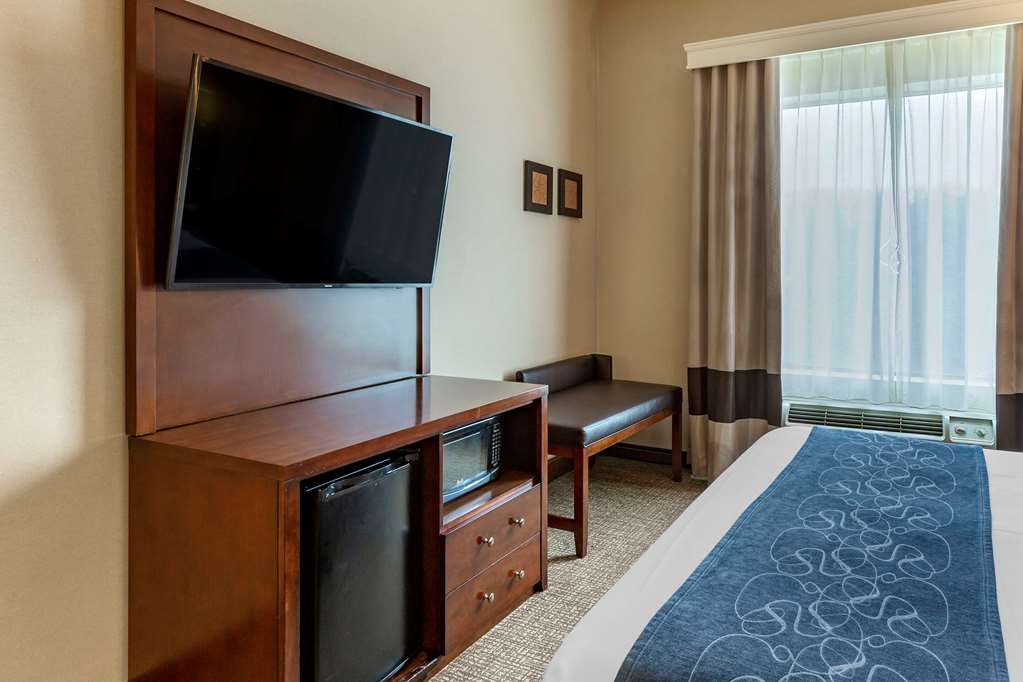 Comfort Suites Manassas Battlefield Park - photo 9
