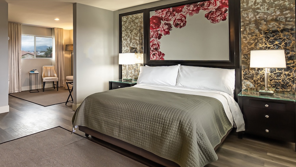 Onsen Hotel & Spa - photo 6