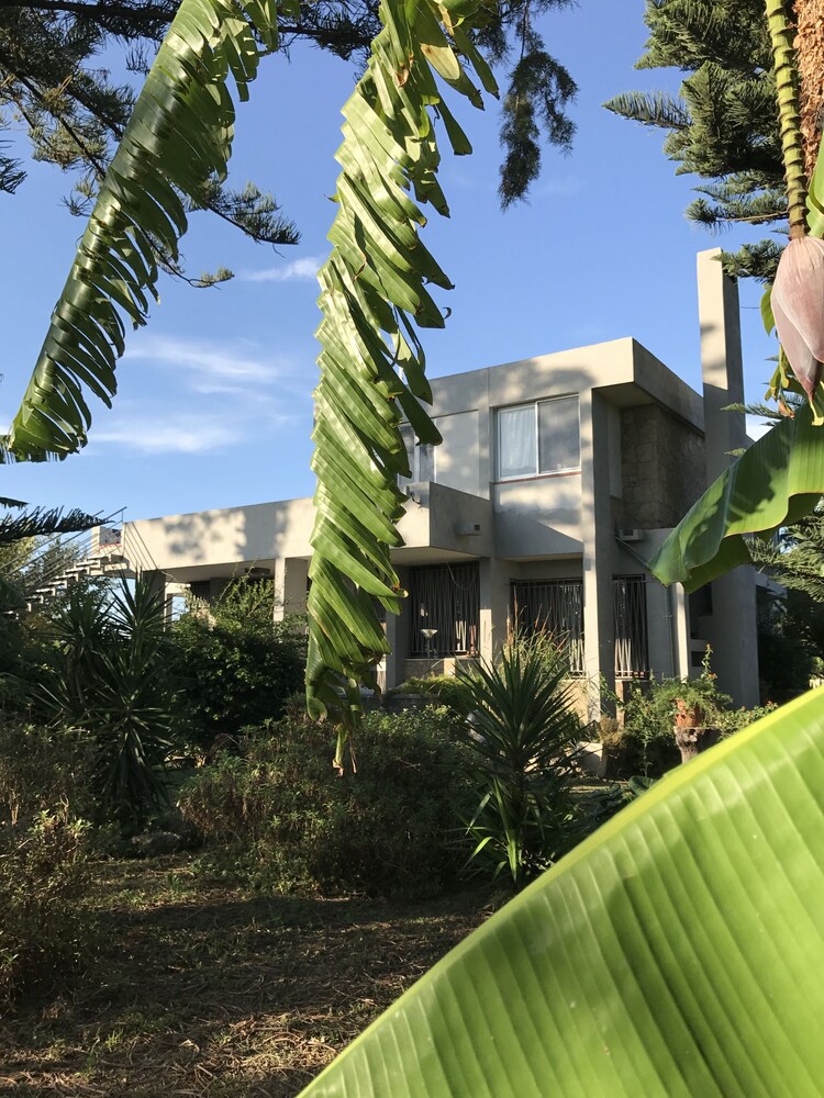 Sirene per Ulisse in Capaccio, Italy