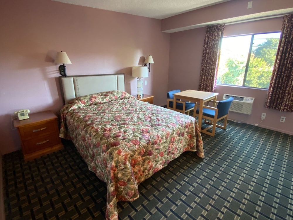 Star Inn Motel - photo 17