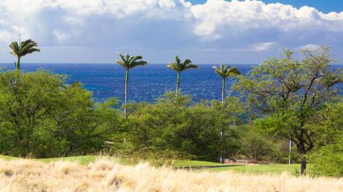 Waiulaula Estate 411 - photo 24
