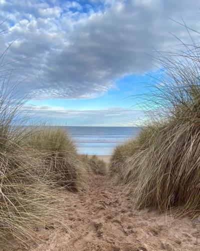 Pot a Doodle Do — Berwick-Upon-Tweed — photo 4