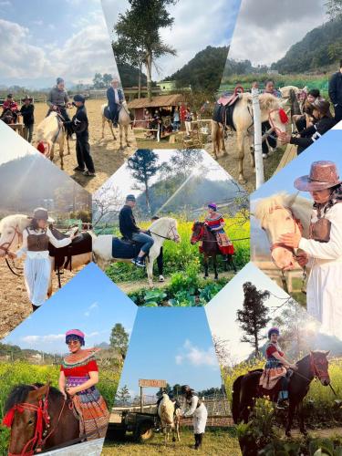 Bac Ha Horse Farmstay — Bac Ha — photo 4