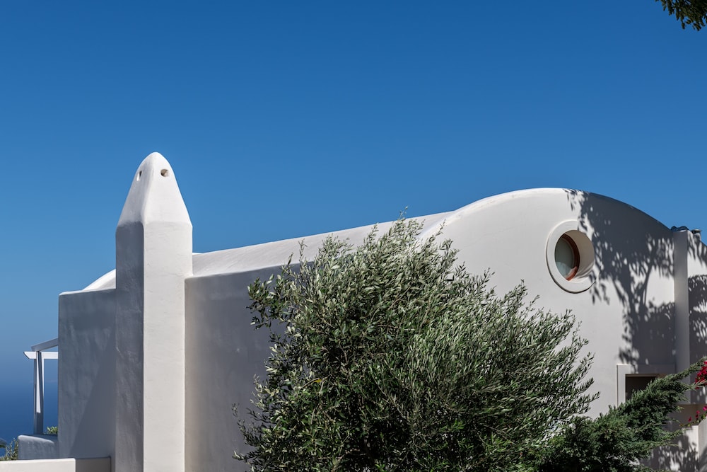 מראה חיצוני