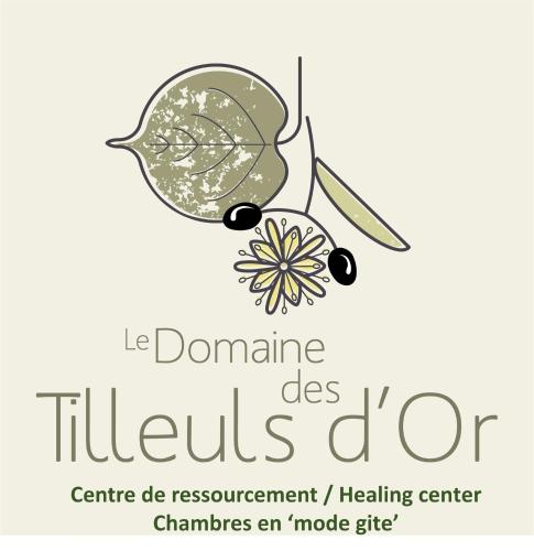 Domaine Des Tilleuls D'or — hotel in Saint-Cezaire-Sur-Siagne