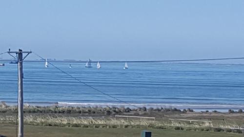 Pura Vida by the Sea — Riverton — photo 4