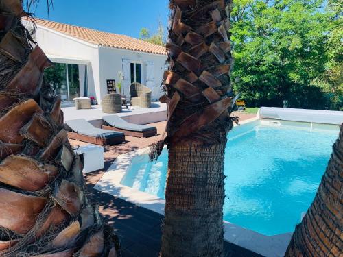 Charmant Studio Independant Proche Mer Parking Prive — hotel in Mireval